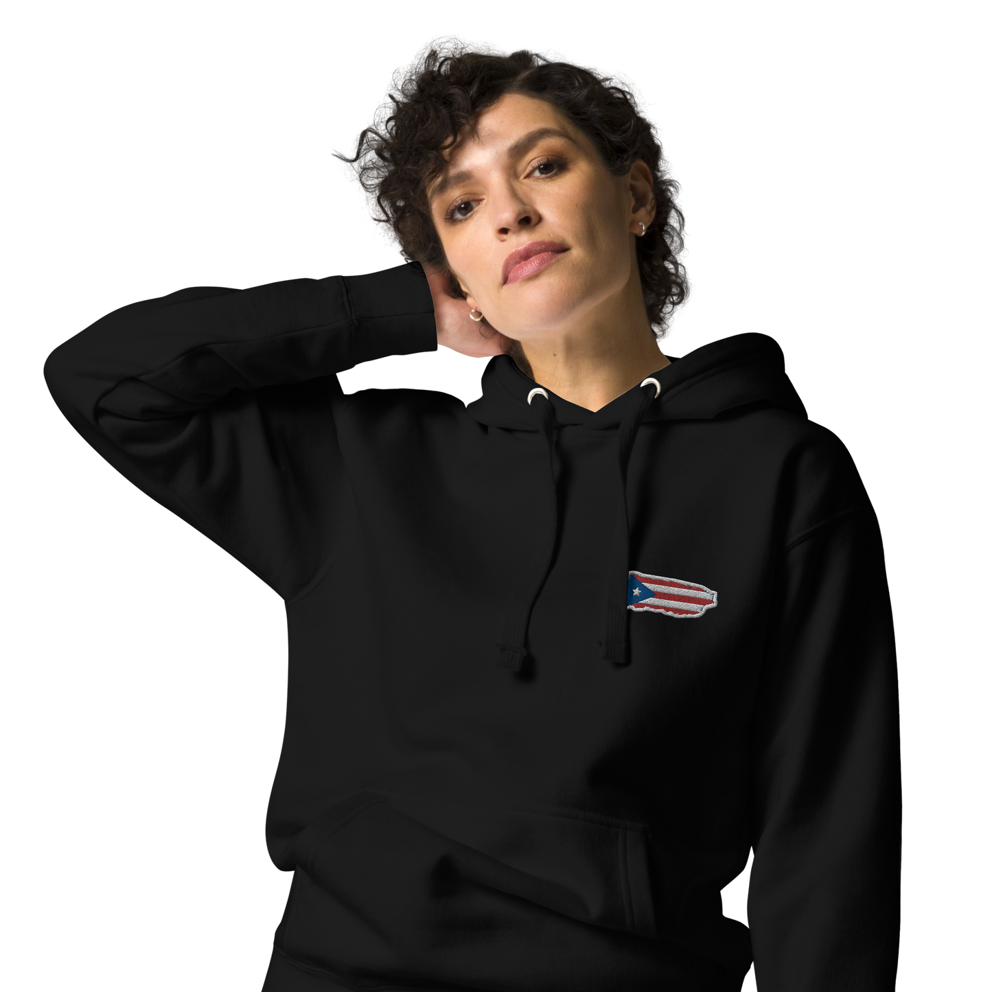 PuertoRico Color Logo embroidered Hoodie