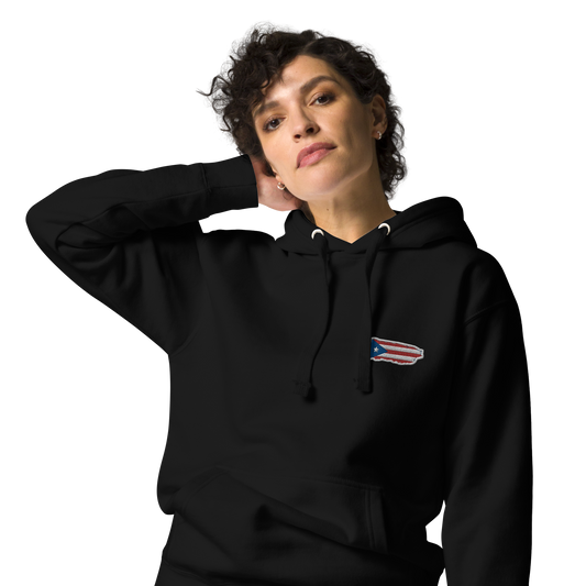 PuertoRico Color Logo embroidered Hoodie