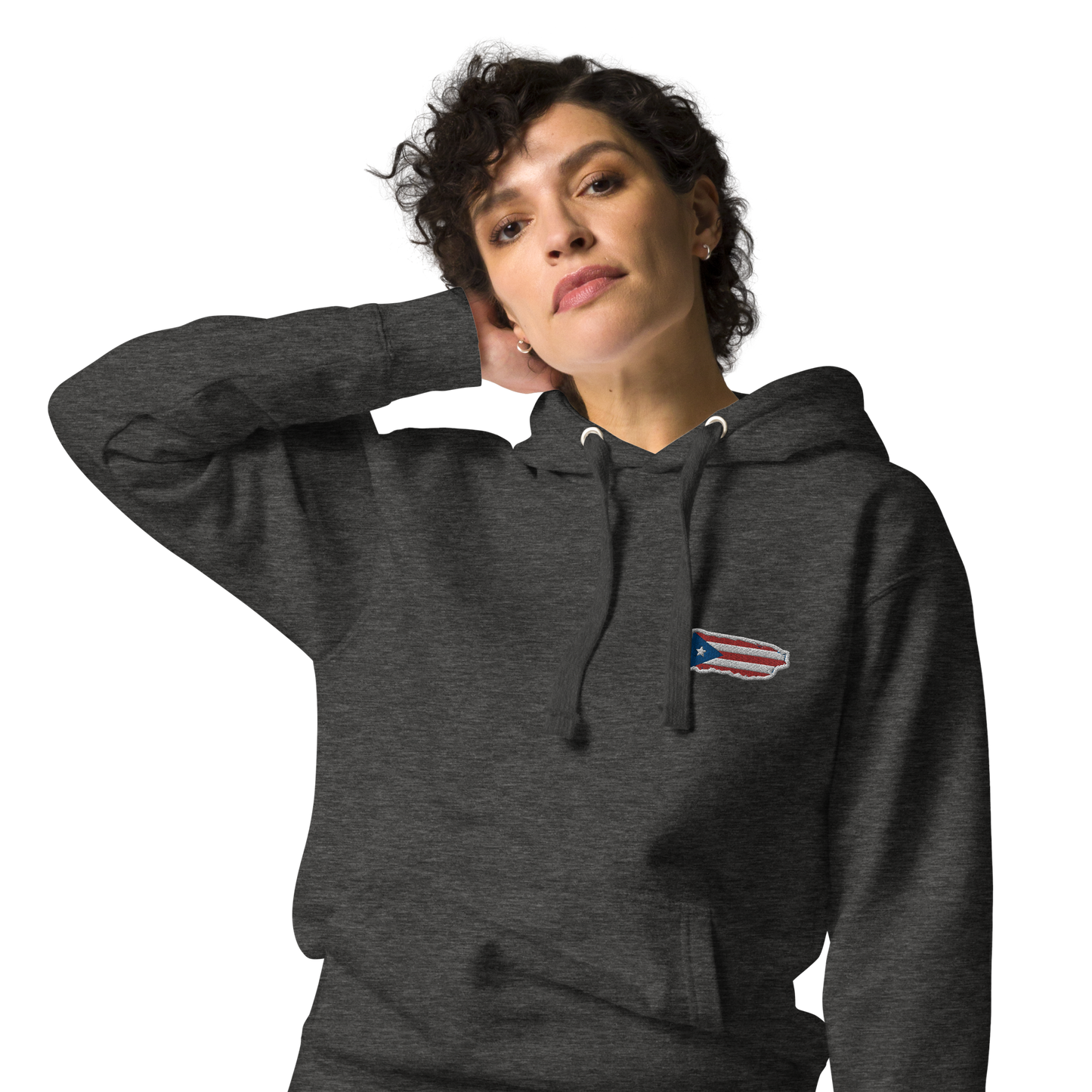 PuertoRico Color Logo embroidered Hoodie