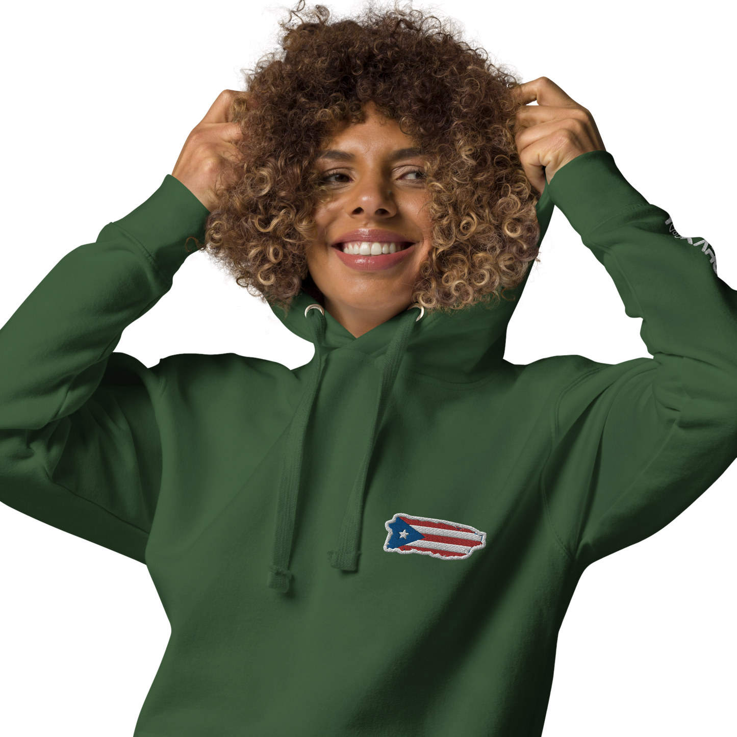 PuertoRico Color Logo embroidered Hoodie