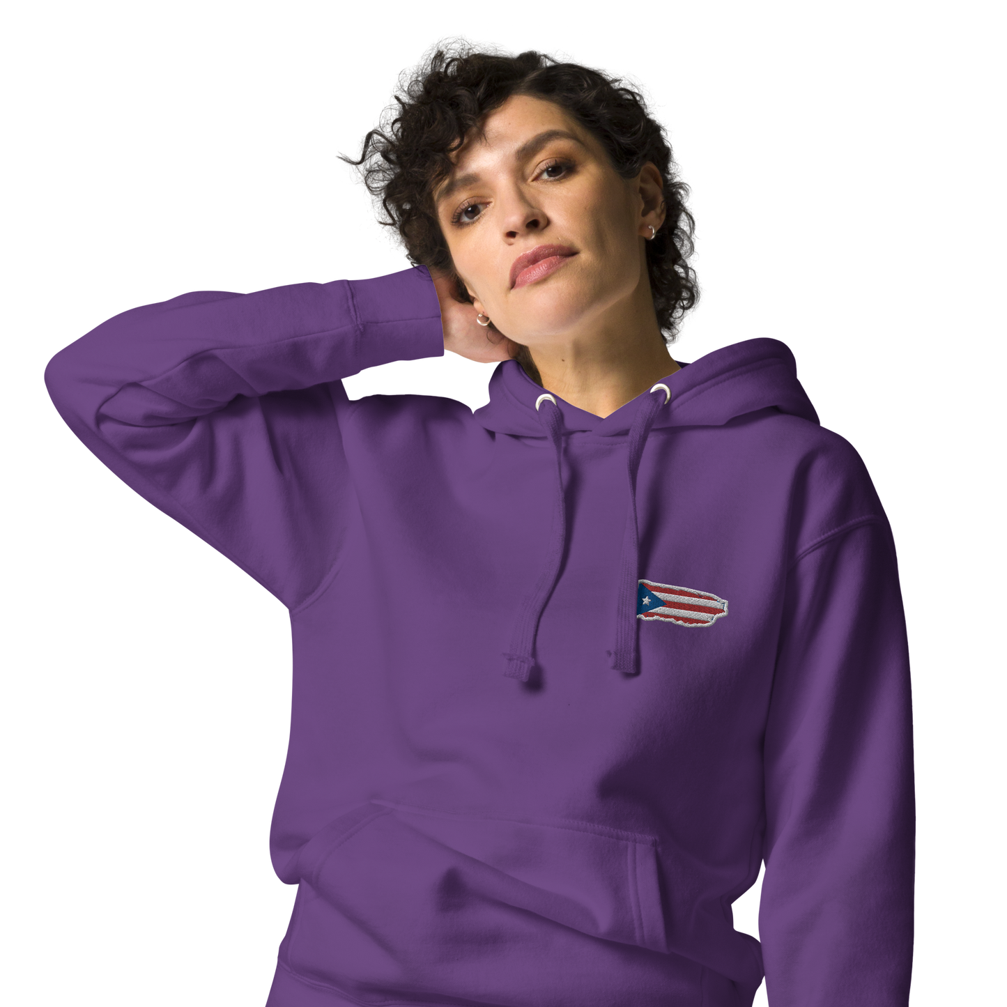 PuertoRico Color Logo embroidered Hoodie