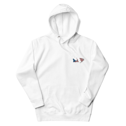 PuertoRico Color Logo embroidered Hoodie