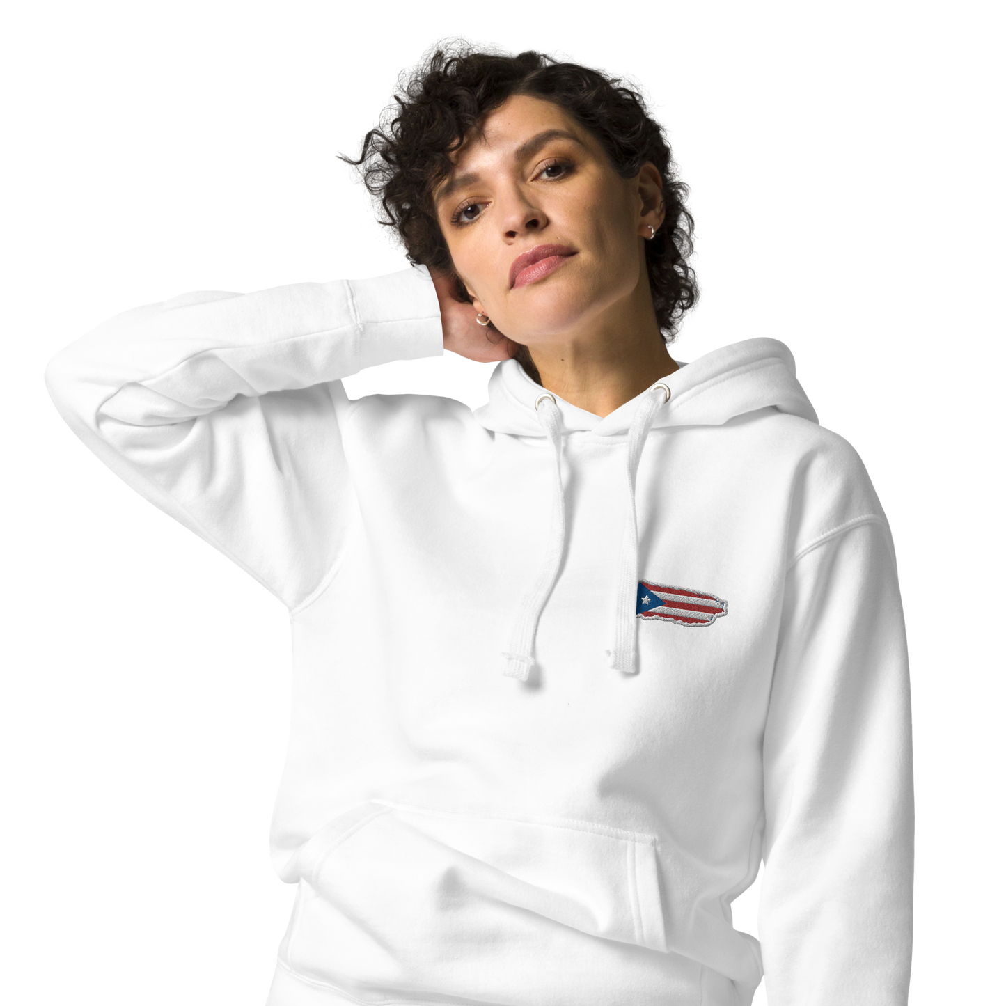 PuertoRico Color Logo embroidered Hoodie